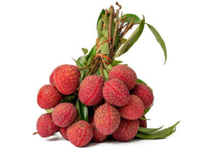 Litchi