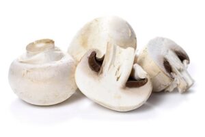 Champignons