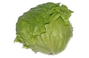 Salade iceberg (piéce)
