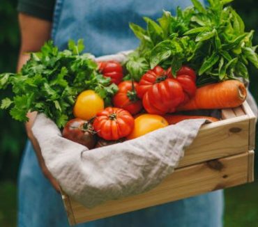 WhatsApp Image 2025-12-29 at 2.00.45 PM (6)